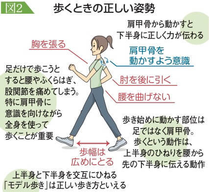 0707情報源歩くときの正しい姿勢訂1カラー