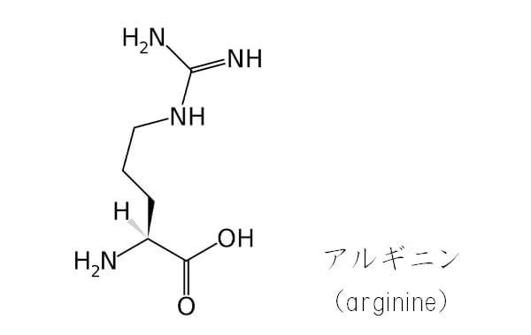 アルギニン