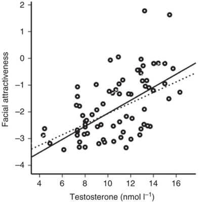 「テストステロン量」「免疫機能」「顔の魅力度」に相関性