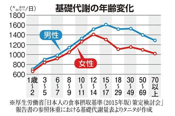 基礎代謝の年齢変化グラフ